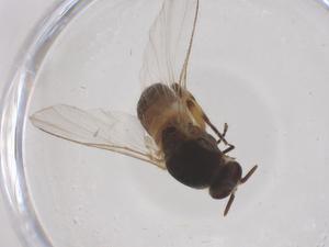  ( - CBG-B02914-C07)  @11 [ ] CreativeCommons - Attribution Share - Alike (2025) Centre for Biodiversity Genomics Centre for Biodiversity Genomics