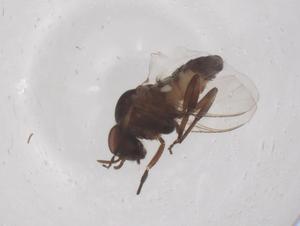  ( - CBG-B02914-D07)  @11 [ ] CreativeCommons - Attribution Share - Alike (2025) Centre for Biodiversity Genomics Centre for Biodiversity Genomics