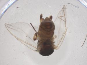  ( - CBG-B02914-F02)  @11 [ ] CreativeCommons - Attribution Share - Alike (2025) Centre for Biodiversity Genomics Centre for Biodiversity Genomics