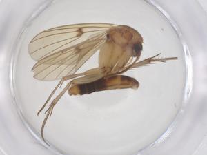  ( - CBG-B03490-D07)  @11 [ ] CreativeCommons - Attribution Share - Alike (2025) Centre for Biodiversity Genomics Centre for Biodiversity Genomics