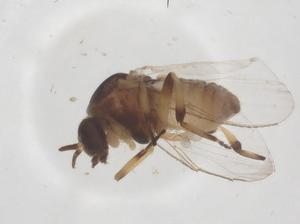  ( - CBG-B04350-B07)  @11 [ ] CreativeCommons - Attribution Share - Alike (2025) Centre for Biodiversity Genomics Centre for Biodiversity Genomics