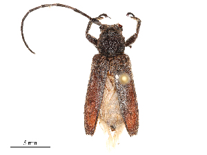  ( - CBG-B04787-C04)  @11 [ ] CreativeCommons - Attribution Share - Alike (2025) CBG Photography Group Centre for Biodiversity Genomics