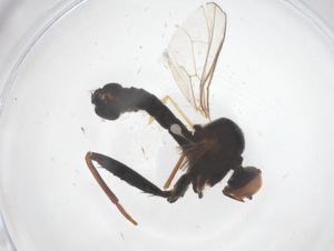  ( - CBG-B04821-F01)  @11 [ ] CreativeCommons - Attribution Share - Alike (2025) Centre for Biodiversity Genomics Centre for Biodiversity Genomics