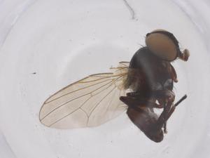  ( - CBG-B04822-B07)  @11 [ ] CreativeCommons - Attribution Share - Alike (2025) Centre for Biodiversity Genomics Centre for Biodiversity Genomics