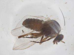  ( - CBG-B22028-F06)  @11 [ ] CreativeCommons - Attribution Share - Alike (2025) Centre for Biodiversity Genomics Centre for Biodiversity Genomics