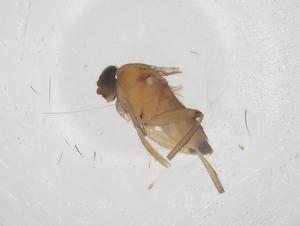  ( - CBG-B22086-B11)  @11 [ ] CreativeCommons - Attribution Share - Alike (2025) Centre for Biodiversity Genomics Centre for Biodiversity Genomics