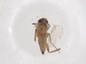  ( - CBG-B22087-C02)  @11 [ ] CreativeCommons - Attribution Share - Alike (2025) Centre for Biodiversity Genomics Centre for Biodiversity Genomics