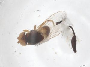  ( - CBG-B22092-H08)  @11 [ ] CreativeCommons - Attribution Share - Alike (2025) Centre for Biodiversity Genomics Centre for Biodiversity Genomics