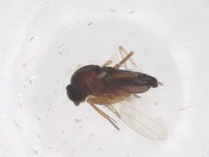  ( - CBG-B22093-G10)  @11 [ ] CreativeCommons - Attribution Share - Alike (2025) Centre for Biodiversity Genomics Centre for Biodiversity Genomics