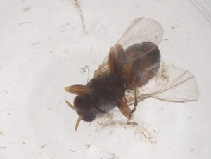  ( - CBG-B22107-A02)  @11 [ ] CreativeCommons - Attribution Share - Alike (2025) Centre for Biodiversity Genomics Centre for Biodiversity Genomics