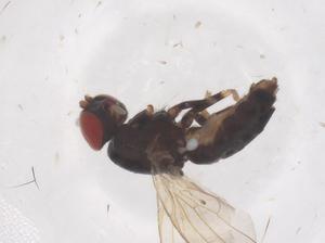  ( - CBG-B22531-F10)  @11 [ ] CreativeCommons - Attribution Share - Alike (2025) Centre for Biodiversity Genomics Centre for Biodiversity Genomics