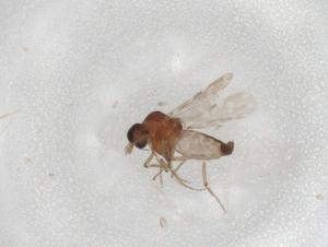  ( - CBG-A02410-D07)  @11 [ ] CreativeCommons - Attribution (2023) Centre for Biodiversity Genomics Centre for Biodiversity Genomics