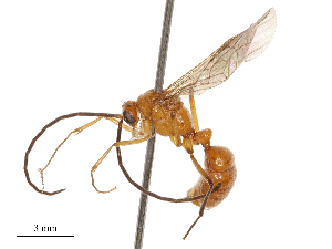  ( - CBG-B01654-C10)  @11 [ ] CreativeCommons - Attribution Share - Alike (2025) CBG Photography Group Centre for Biodiversity Genomics