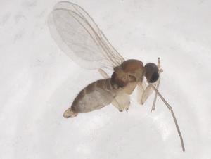  ( - CBG-B01673-B03)  @11 [ ] CreativeCommons - Attribution Share - Alike (2025) Centre for Biodiversity Genomics Centre for Biodiversity Genomics