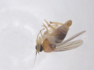  ( - CBG-B01674-A07)  @11 [ ] CreativeCommons - Attribution Share - Alike (2025) Centre for Biodiversity Genomics Centre for Biodiversity Genomics