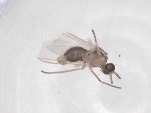  ( - CBG-B01679-F05)  @11 [ ] CreativeCommons - Attribution Share - Alike (2025) Centre for Biodiversity Genomics Centre for Biodiversity Genomics