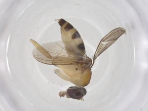  ( - CBG-B01866-F06)  @11 [ ] CreativeCommons - Attribution Share - Alike (2025) Centre for Biodiversity Genomics Centre for Biodiversity Genomics