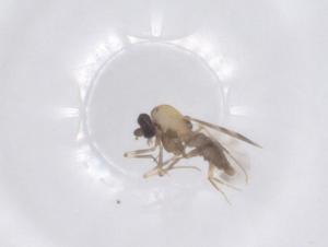  ( - CBG-B02072-D05)  @11 [ ] CreativeCommons - Attribution Share - Alike (2025) Centre for Biodiversity Genomics Centre for Biodiversity Genomics