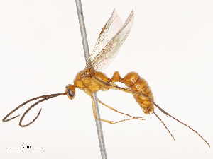  ( - CBG-B03259-H07)  @11 [ ] CreativeCommons - Attribution Share - Alike (2025) CBG Photography Group Centre for Biodiversity Genomics