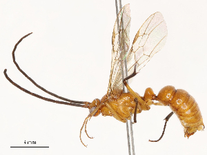  ( - CBG-B03259-H08)  @11 [ ] CreativeCommons - Attribution Share - Alike (2025) CBG Photography Group Centre for Biodiversity Genomics