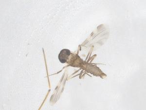  ( - CBG-B03623-G03)  @11 [ ] CreativeCommons - Attribution Share - Alike (2025) Centre for Biodiversity Genomics Centre for Biodiversity Genomics