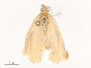  ( - CBG-B04791-D06)  @11 [ ] CreativeCommons - Attribution Share - Alike (2025) CBG Photography Group Centre for Biodiversity Genomics