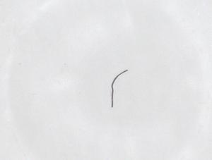  ( - CBG-B04987-B09)  @11 [ ] CreativeCommons - Attribution Share - Alike (2025) Centre for Biodiversity Genomics Centre for Biodiversity Genomics