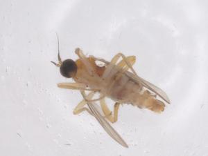  ( - CBG-B22080-B11)  @11 [ ] CreativeCommons - Attribution Share - Alike (2025) Centre for Biodiversity Genomics Centre for Biodiversity Genomics