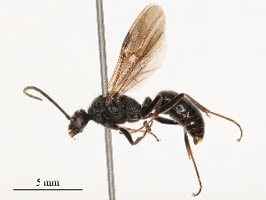  ( - CBG-B23327-F01)  @11 [ ] CreativeCommons - Attribution Share - Alike (2025) CBG Photography Group Centre for Biodiversity Genomics