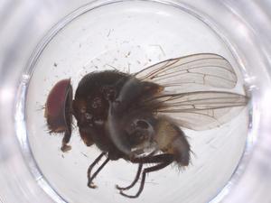  ( - CBG-B08755-F01)  @11 [ ] CreativeCommons - Attribution Share - Alike (2025) Centre for Biodiversity Genomics Centre for Biodiversity Genomics