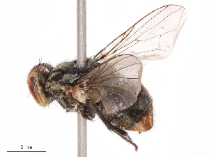  ( - CBG-B19321-E12)  @11 [ ] CreativeCommons - Attribution Share - Alike (2025) CBG Photography Group Centre for Biodiversity Genomics