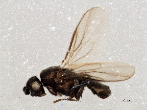  ( - BIOUG03239-E03)  @13 [ ] CreativeCommons - Attribution (2013) CBG Photography Group Centre for Biodiversity Genomics