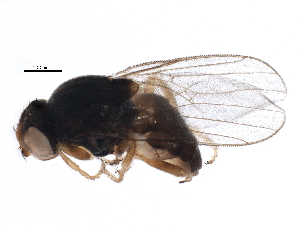  ( - BIOUG15797-E11)  @14 [ ] CreativeCommons - Attribution (2015) CBG Photography Group Centre for Biodiversity Genomics