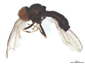  ( - BIOUG22959-C05)  @11 [ ] CreativeCommons - Attribution (2025) CBG Photography Group Centre for Biodiversity Genomics