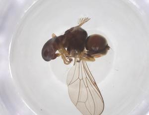  ( - BIOUG23003-E02)  @11 [ ] CreativeCommons - Attribution Share - Alike (2025) Centre for Biodiversity Genomics Centre for Biodiversity Genomics