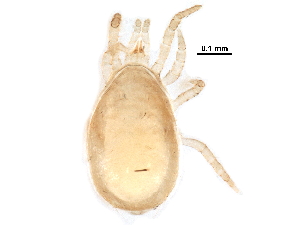  ( - BIOUG23088-D09)  @11 [ ] CreativeCommons - Attribution (2016) CBG Photography Group Centre for Biodiversity Genomics