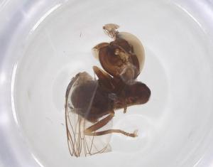  ( - BIOUG45044-C09)  @11 [ ] CreativeCommons - Attribution Share - Alike (2025) Centre for Biodiversity Genomics Centre for Biodiversity Genomics