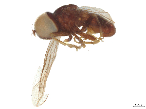  ( - BIOUG45151-C05)  @11 [ ] CreativeCommons - Attribution (2025) CBG Photography Group Centre for Biodiversity Genomics