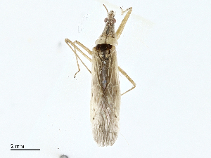  ( - CBG-A00301-H07)  @11 [ ] CreativeCommons - Attribution (2023) CBG Photography Group Centre for Biodiversity Genomics
