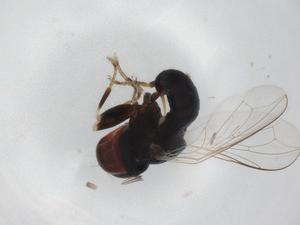  ( - BIOUG97654-B04)  @11 [ ] CreativeCommons - Attribution (2023) Centre for Biodiversity Genomics Centre for Biodiversity Genomics