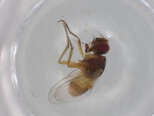  ( - BIOUG99387-E05)  @11 [ ] CreativeCommons - Attribution (2023) Centre for Biodiversity Genomics Centre for Biodiversity Genomics