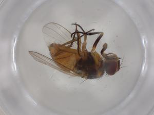  ( - BIOUG99388-C05)  @11 [ ] CreativeCommons - Attribution (2023) Centre for Biodiversity Genomics Centre for Biodiversity Genomics