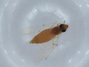  ( - BIOUG66609-C10)  @11 [ ] CreativeCommons - Attribution (2021) Centre for Biodiversity Genomics Centre for Biodiversity Genomics