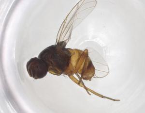  ( - CBG-A00750-A10)  @11 [ ] CreativeCommons - Attribution (2023) Centre for Biodiversity Genomics Centre for Biodiversity Genomics