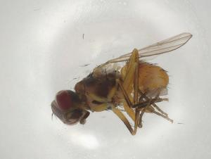  ( - CBG-A01544-E10)  @11 [ ] CreativeCommons - Attribution (2023) Centre for Biodiversity Genomics Centre for Biodiversity Genomics