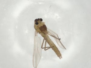  ( - CBG-A02118-E07)  @11 [ ] CreativeCommons - Attribution (2023) Centre for Biodiversity Genomics Centre for Biodiversity Genomics