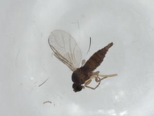  ( - CBG-A02148-E08)  @11 [ ] CreativeCommons - Attribution (2023) Centre for Biodiversity Genomics Centre for Biodiversity Genomics