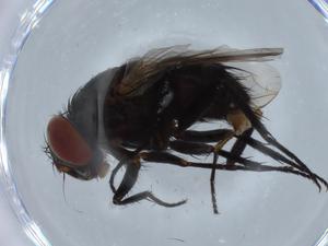  ( - BIOUG68519-E04)  @11 [ ] CreativeCommons - Attribution (2021) Centre for Biodiversity Genomics Centre for Biodiversity Genomics