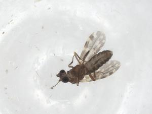  ( - CBG-A15180-C03)  @11 [ ] CreativeCommons - Attribution Share - Alike (2023) Centre for Biodiversity Genomics Centre for Biodiversity Genomics