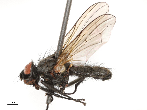  ( - CBG-B02502-B03)  @11 [ ] CreativeCommons - Attribution Share - Alike (2025) CBG Photography Group Centre for Biodiversity Genomics